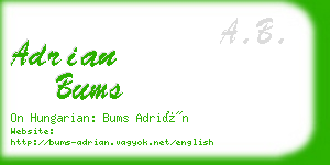 adrian bums business card